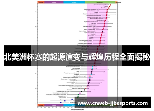 北美洲杯赛的起源演变与辉煌历程全面揭秘
