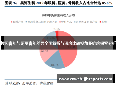 埃因青年与阿贾青年差异全面解析与深度比较视角多维度探索分析