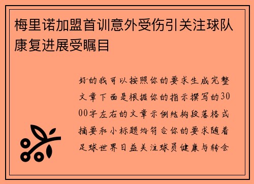 梅里诺加盟首训意外受伤引关注球队康复进展受瞩目